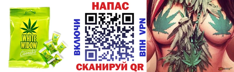Купить где  Ленинградская  Cannafood конопля 