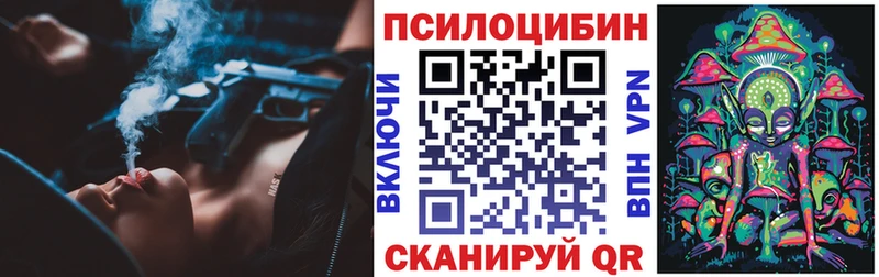 Галлюциногенные грибы GOLDEN TEACHER  Купить  Ленинградская